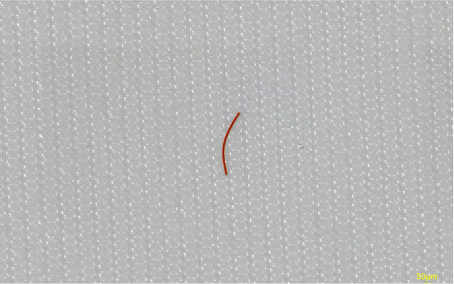 Fiber Contaminants Fiber Contaminants